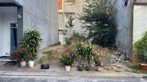 MẶT TIỀN ĐƯỜNG NGÔ ĐÌNH CHẤT THUỘC PHƯỜNG PHƯỚC NGUYÊN TP BÀ RỊA